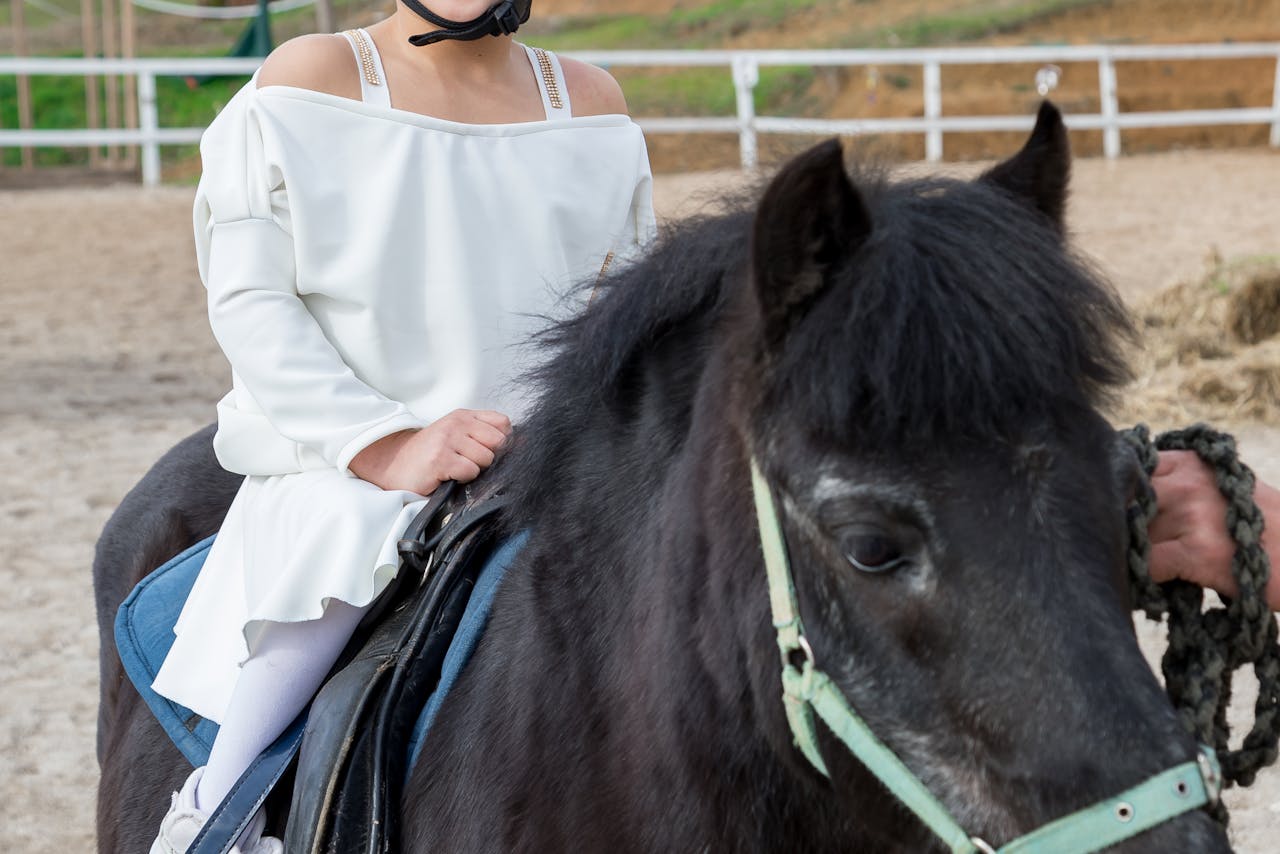 Equitation